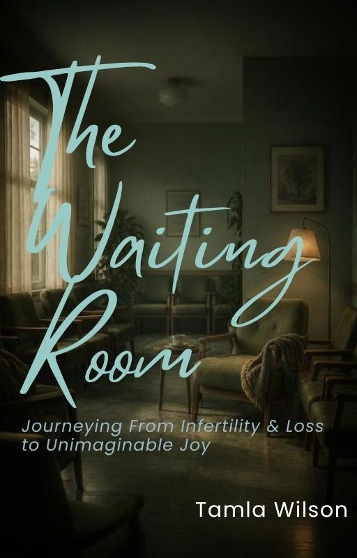 The Waiting Room book cover